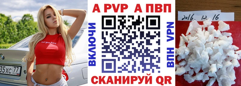 закладка Котлас Альфа ПВП крисы CK