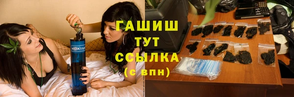 сатива Няндома