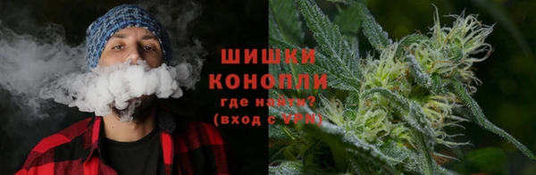 сатива Няндома