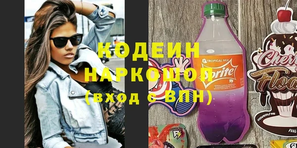 сатива Няндома
