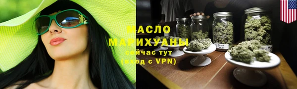 сатива Няндома
