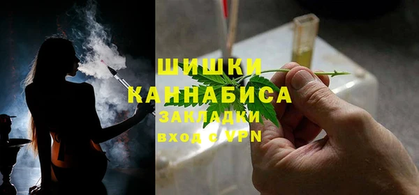 сатива Няндома