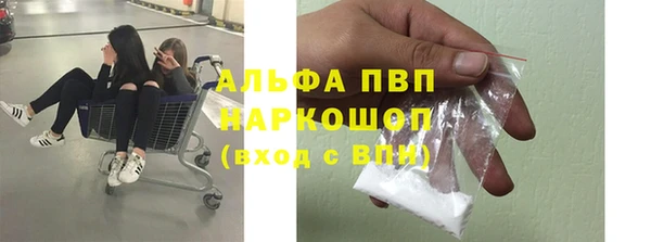 сатива Няндома