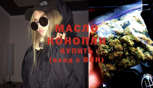 сатива Няндома