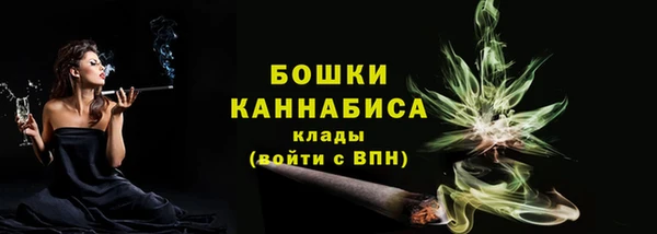 сатива Няндома