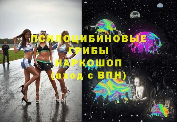 сатива Няндома