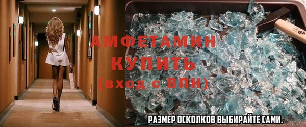 сатива Няндома