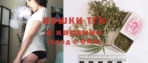 сатива Няндома
