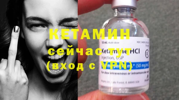 сатива Няндома