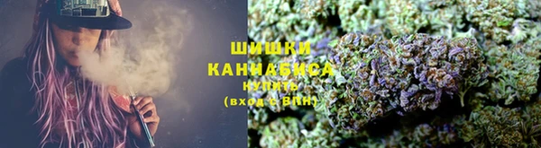 сатива Няндома
