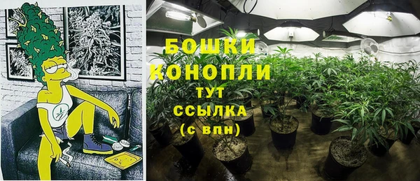 сатива Няндома