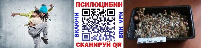 Галлюциногенные грибы мицелий  Котлас 