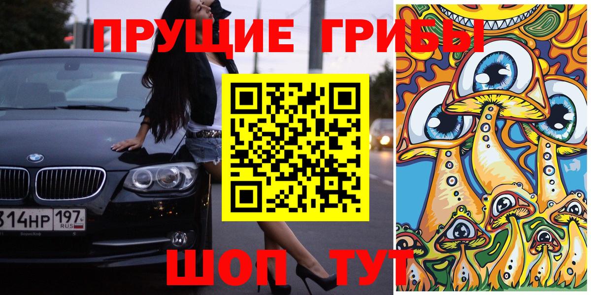 Псилоцибиновые грибы мухоморы Котлас