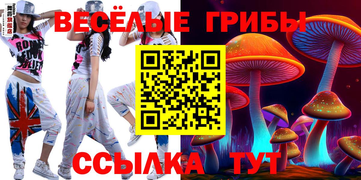 наркотики  Вход с VPN  Котлас  Псилоцибиновые грибы прущие грибы 