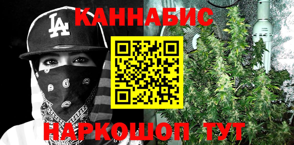 Бошки марихуана MAZAR  Вход с VPN  Канабис White Widow  Котлас 