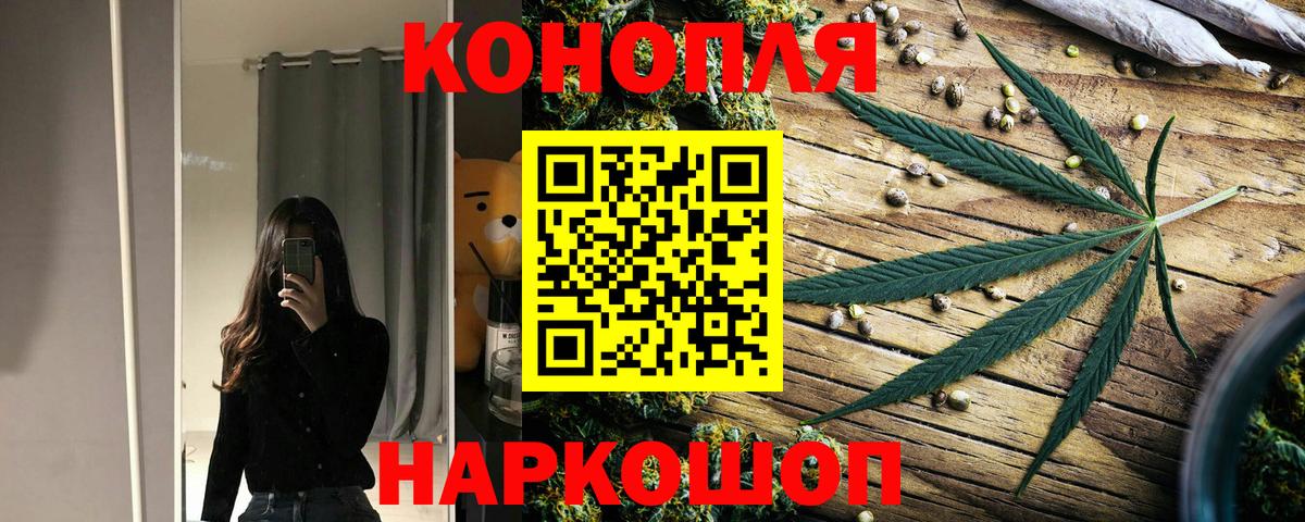Бошки марихуана OG Kush Котлас
